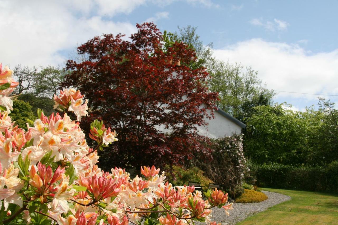 Laich Cottage Appin Exteriér fotografie